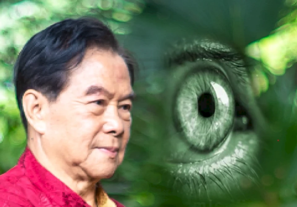 Cosmic Vision The Art of Improving Vision