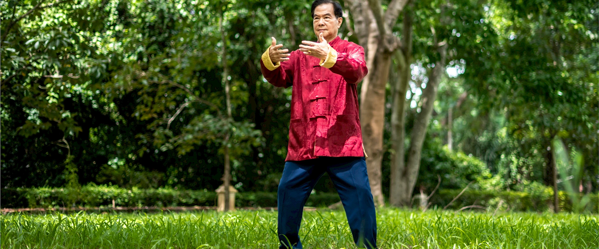 Learn the techniques of the Internal Martial Arts