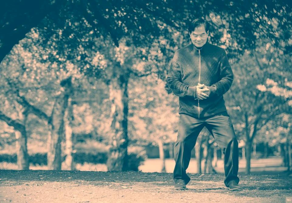 Iron Shirt 3 Bone Marrow Nei Kung