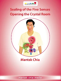 Sealing of the Five Senses