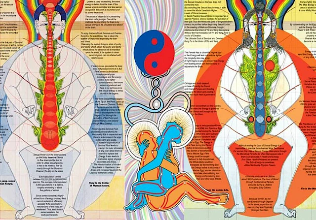 Taoist Practice of Healing Love - Methods for a Multiorgasmic Life