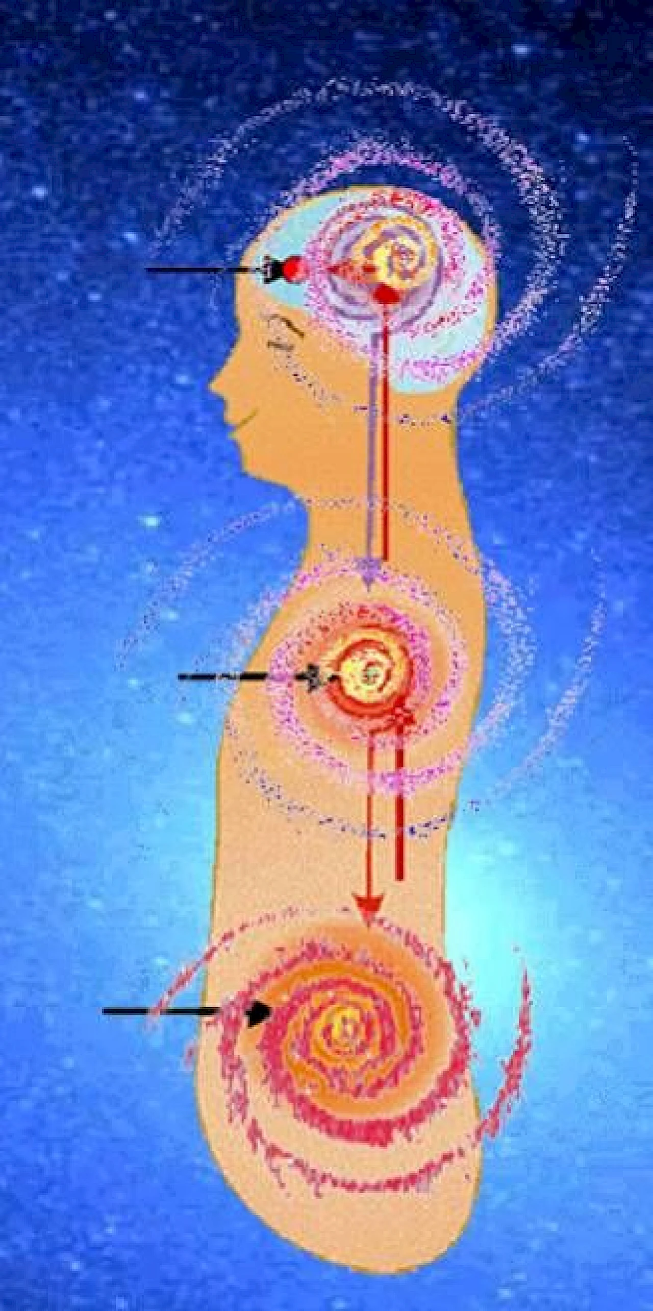 Three different types of Tan Tien