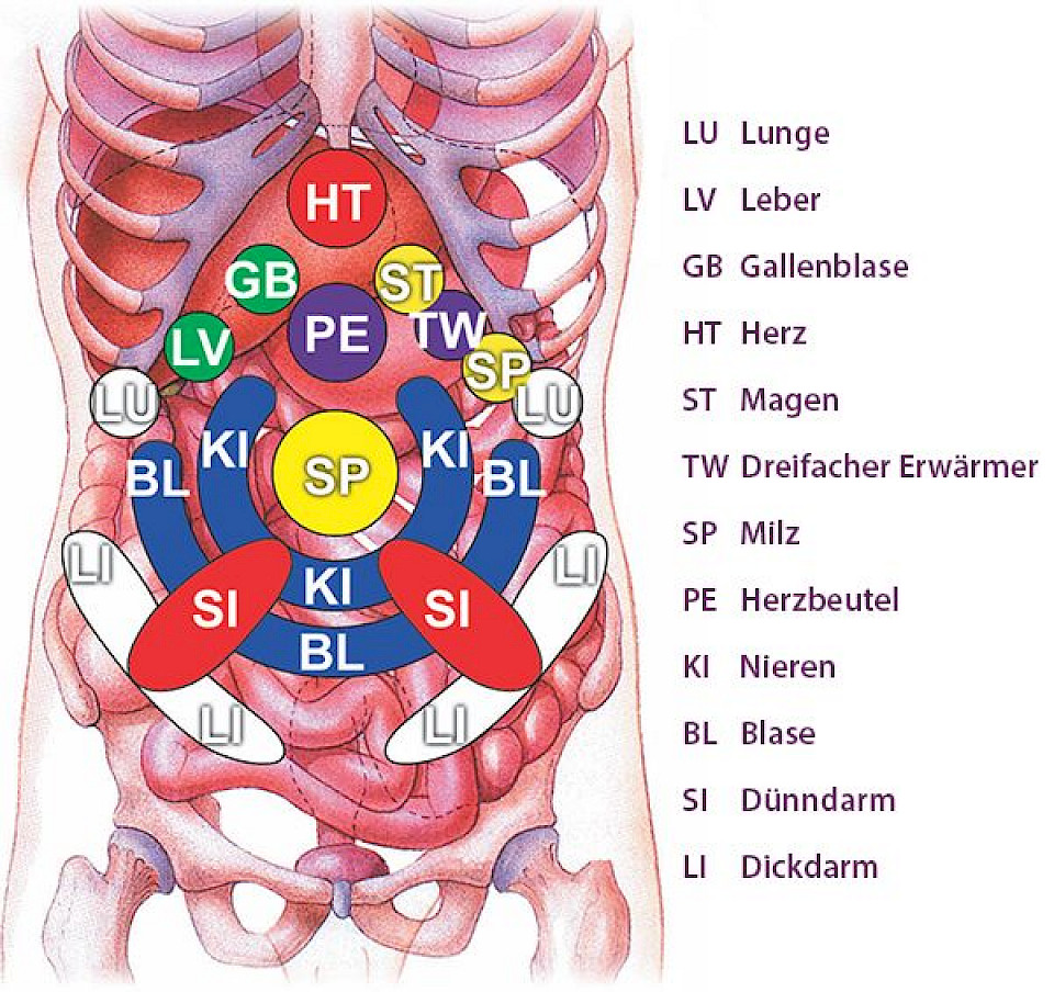 Chi Nei Tsang<sup>©</sup> I - Organ Detox | mantak-chia-media.com