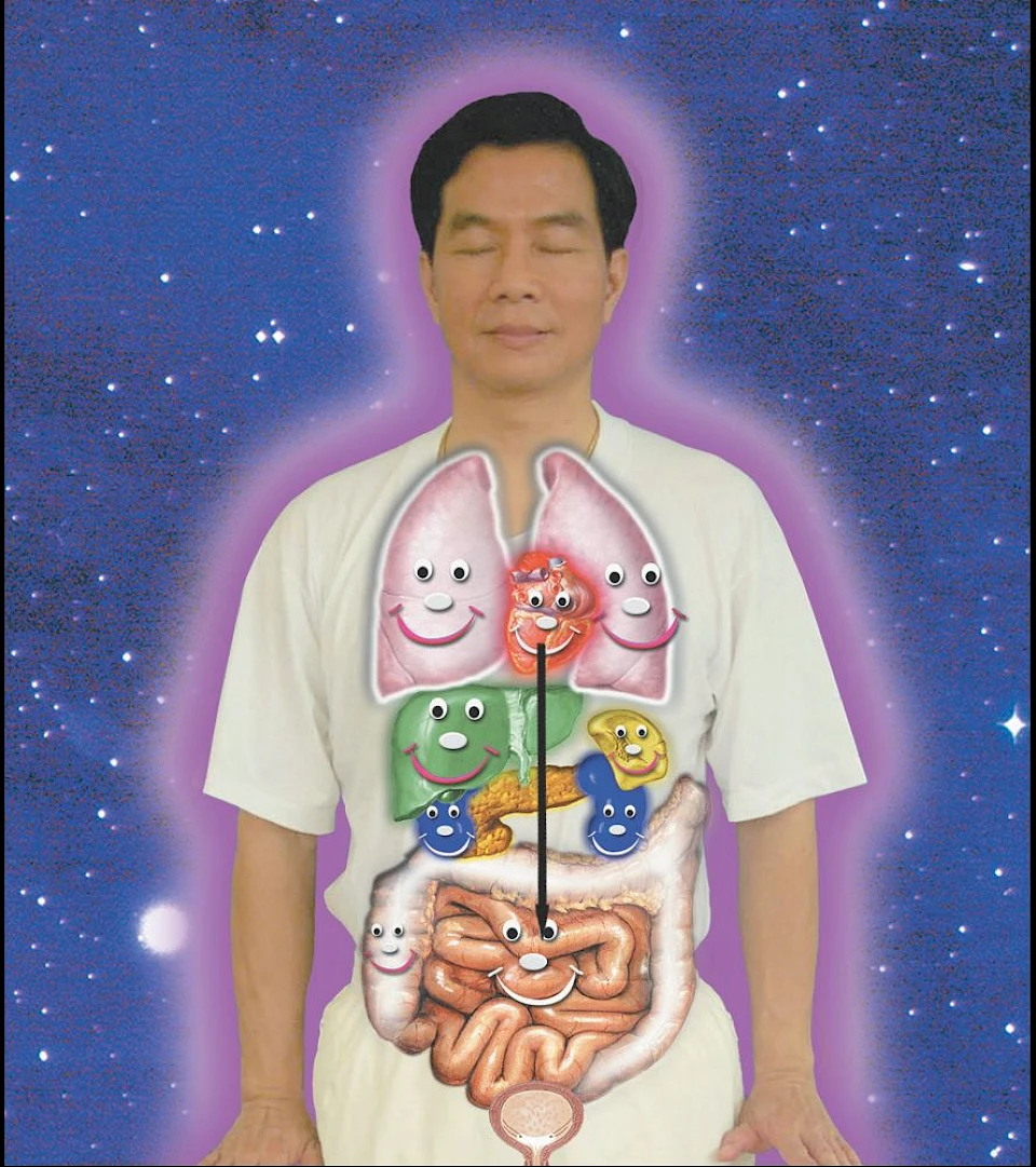 Emotionen und Blockaden