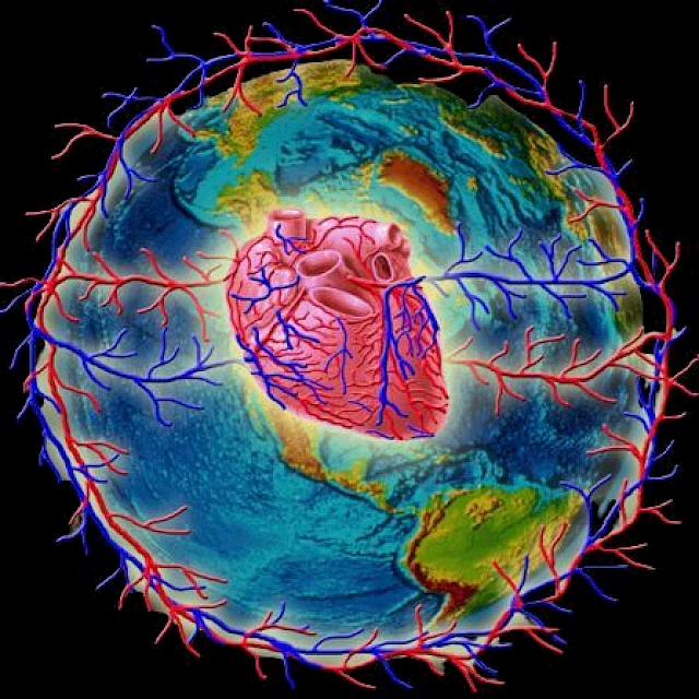 Creating a Powerful Microcosmos