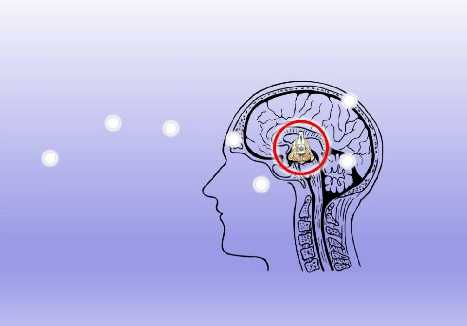 Inner Alchemy and the Immortal Body