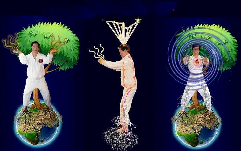 1. What is Iron Shirt Chi Kung?