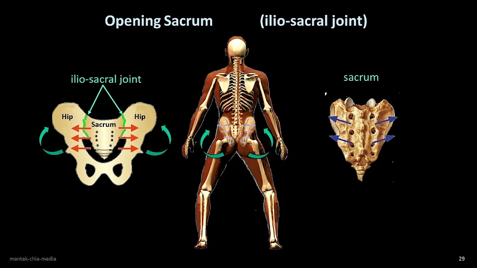 4. Iron Shirt Postures