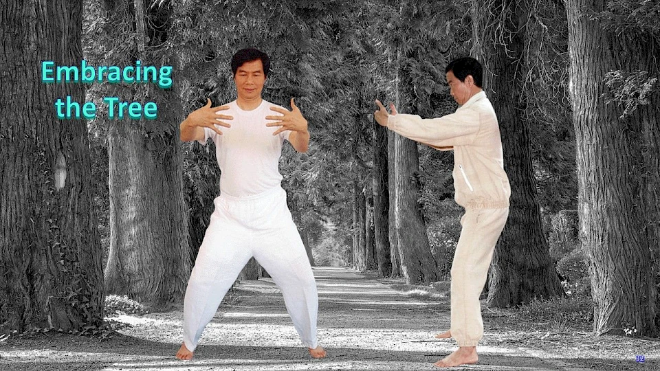 Horse Stance & Embracing the Tree