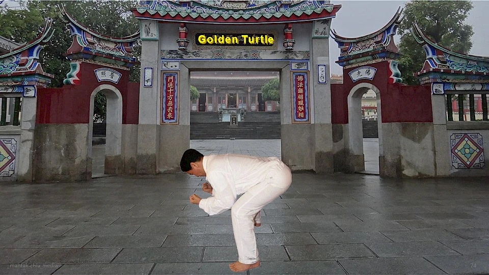 Golden Turtle (Yang Position) & Water Buffalo (Yin Position)