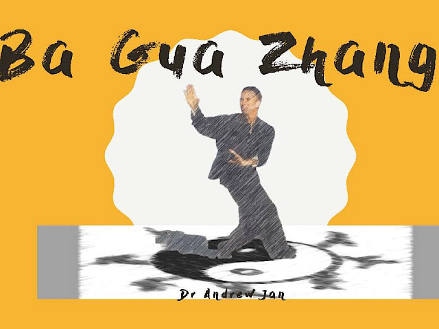 Tai Chi Chi Kung 4 - Ba Gua Zhang Fusion in Movement