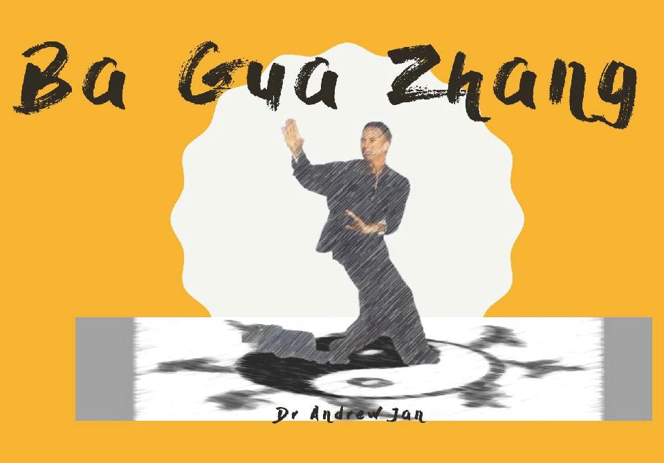 Mantak Chia's BA GUA ZHANG Tai Chi 4 Form, Dynamic Fusion in Shamanistic Tradition - Martial Artist Andrew Jan
