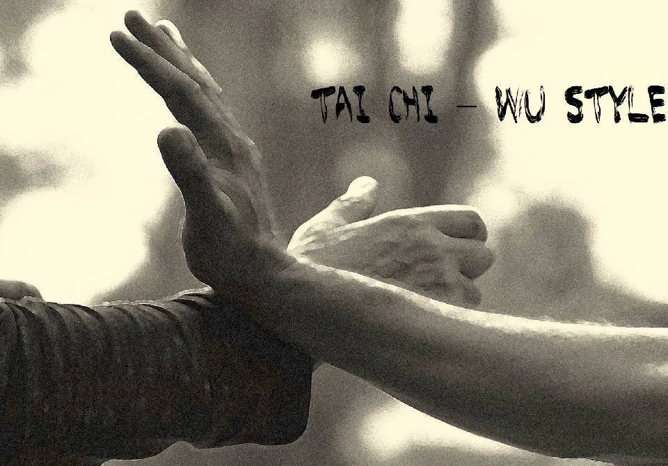 Mantak Chia's Tai Chi 3 Wu Style Form,  Martial Artist Andrew Jan