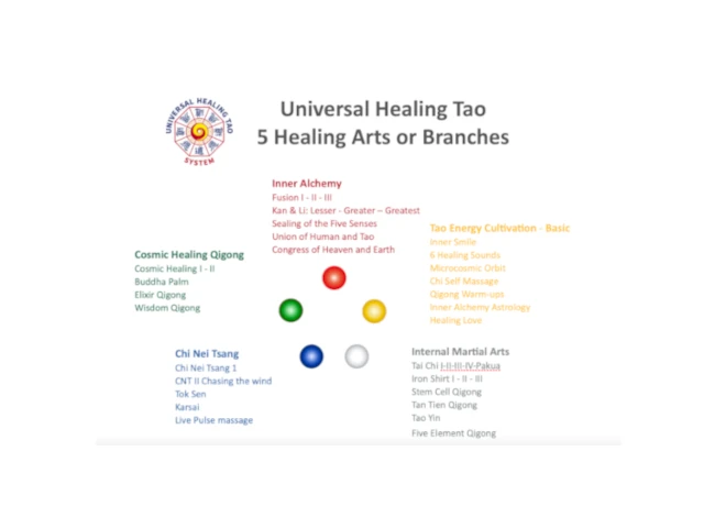 Overview of the 5 Branches of the Universal Healing Tao&reg; System