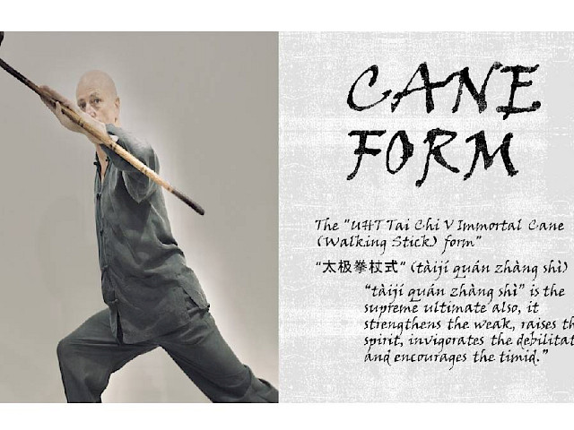 Tai Chi Chi Kung 5 - Slow Cane Form