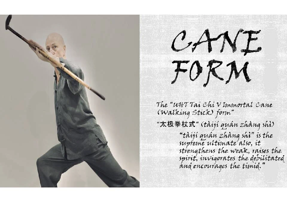 Mantak Chia's Tai Chi 5 - Slow Cane Form - Martial Artist Andrew Jan