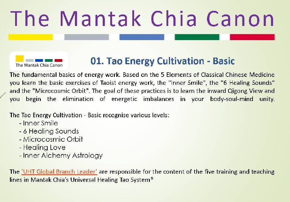The first Healing Art: Tao Energy Cultivation - Basics (color code yellow)