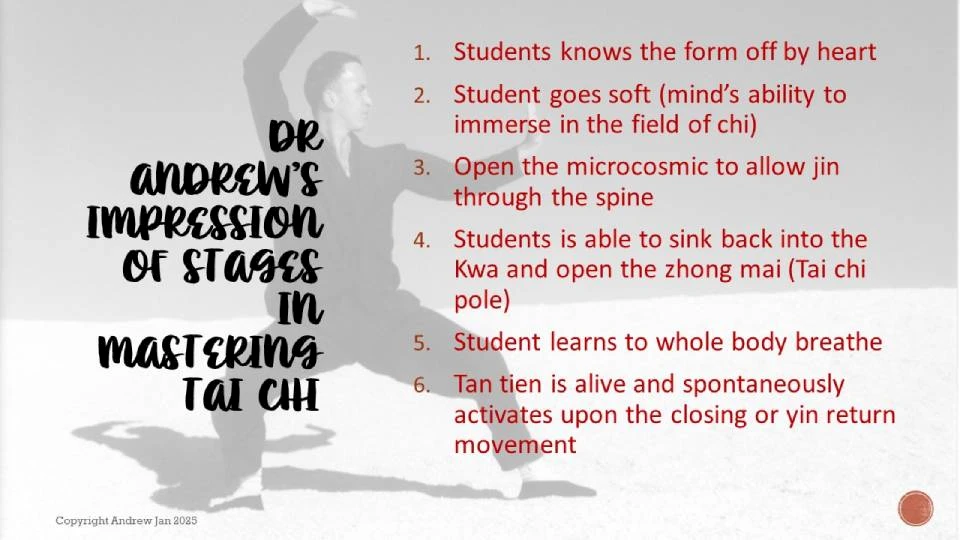 Tai Chi Master Class - Martial Artist Andrew Jan